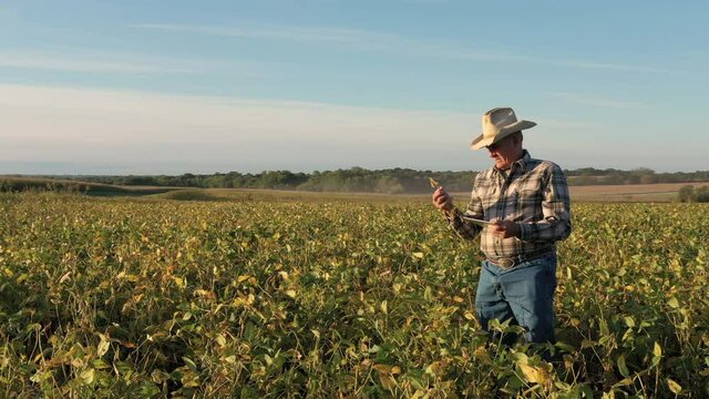 WS DS Farmer with digital tablet in field / Plattsburg, Missouri, USA