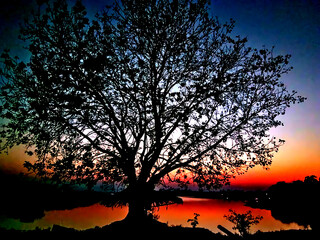  view of dramatic evening with tree