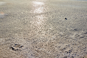 Snow or ice texture or background outdoors in a winter day. Nature landscape with frozen water on a lake or river in the cold and sun.