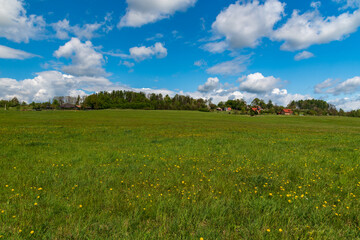 Springtime rural landscape with meadow, few houses, trees and blue sky with clouds