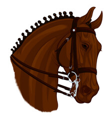 Head of a sorrel horse with braided mane. Stallion equipped for dressage wears a double bridle with bradoon and curb bit. Vector emblem, design element for equestrian clubs.