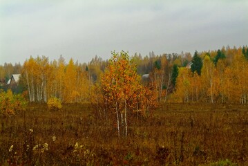 Fototapeta premium small village of cloudy autumn, Russia