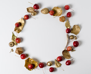 Autumn composition of golden leaves and ripe red wild apples. Fall theme, Halloween, or thanksgiving festive concept. Floral Round frame.