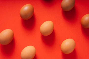 Group of brown chicken egg isolated on red background. Background.