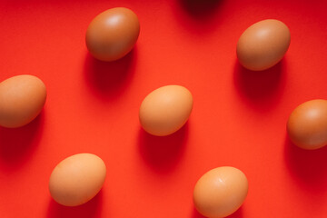 Group of brown chicken egg isolated on red background. Background.