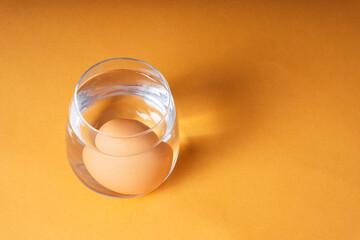 Chicken egg inside water glass bottle on orange yellow background.