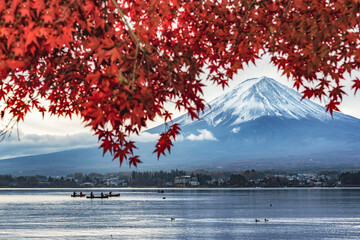 Fuji Mountain and Red Maple Leaves in Autumn Cloudy Day, Japan