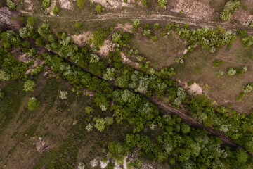 Aerial top view of rocks and tree, mountain ecosystem and healthy environment concept and background, Texture of green tree, stones and land