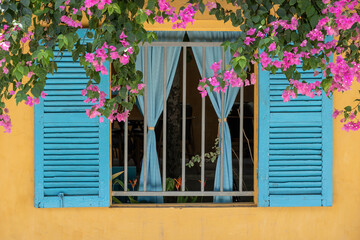 Beautiful pink flowers and a window with blue shutters on a yellow old wall on the street in Hoi An old town, Vietnam