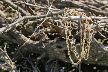 This season, multi-tiered chains of different types and sizes are fashionable. Faceted Golden links of the metal alloy dry hanging on the branches, bark and wood from the elements of nature. Details o