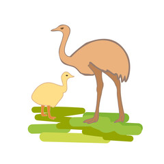 Vector illustration of ostrich with a small baby ostrich isolated on a white background, hand drawing illustration.
