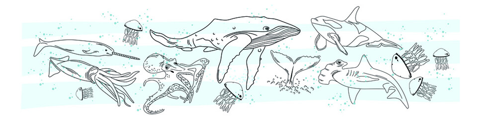 Vector flat illustration of sea animals. Doodles. Sketch. Black outline. Isolated on white background. Blue waves. Marine design. © Tatiana Murashova