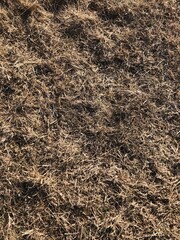 background of hay