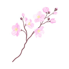 Branch of Cherry Blossom with Tender Pink Flowers Vector Illustration