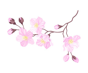 Obraz na płótnie Canvas Blooming Cherry Branch with Tender Pink Flower Blossoms Vector Illustration