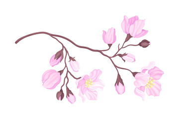 Tender Cherry Blossom Twig as Fragrant Seasonal Foliage with Pink Flowers Vector Illustration