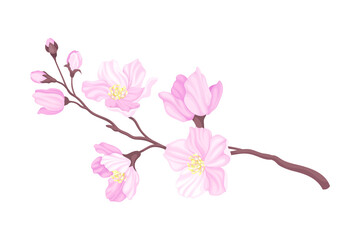 Tender Cherry Blossom Twig as Fragrant Seasonal Foliage with Pink Flowers Vector Illustration