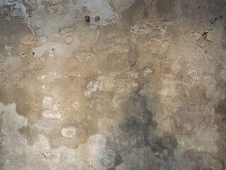 Cement wall for background.Have copy space for text.