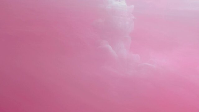 SLO MO CU Pink ink dissolving in water / London, UK