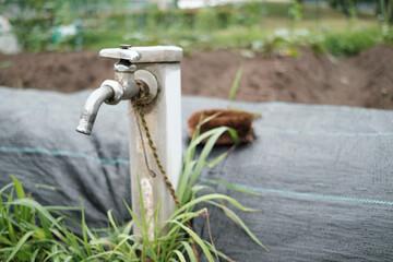 畑の脇にある水道水の蛇口とたわし