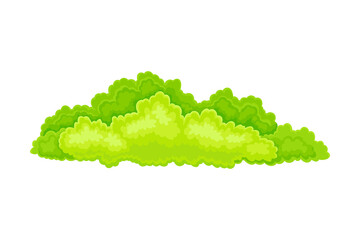 Green Bush or Shrub with Leafy Crown as Forest Element Vector Illustration