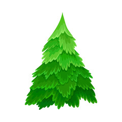 Pine or Fir Tree with Needle Leaves as Forest Element Vector Illustration