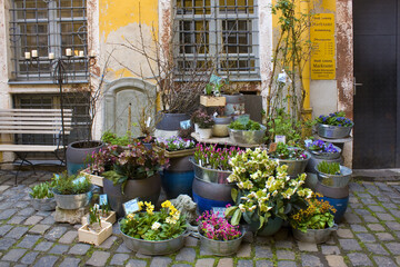 Flower shop in small courtyard l in Leipzig
