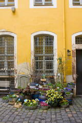 Fototapeta na wymiar Flower shop in small courtyard l in Leipzig