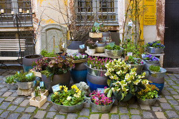 Flower shop in small courtyard l in Leipzig, Germany