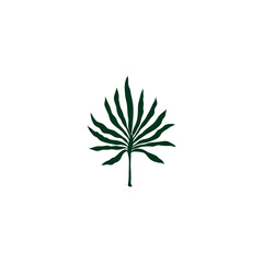 Silhouette of hand drawn tropical leaf.