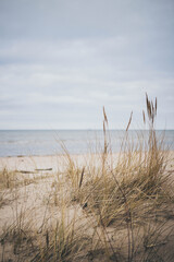 Fototapeta premium The coastline of the Baltic Sea in Latvia