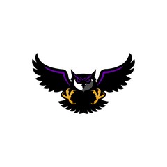 eagle owl vector illustration