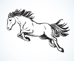 Galloping horse. Vector drawing icon