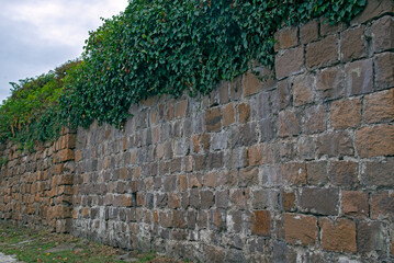 An old wall made of regular-shaped stone blocks covered with green vegetation