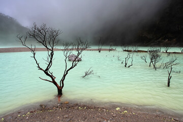 Kawah Putih or White Crater is a famous sulfur rich volcanic crater lake in West Java, Indonesia. © LilyRosePhotos