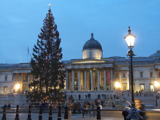 London, UK, Trafalgar square at Christmas