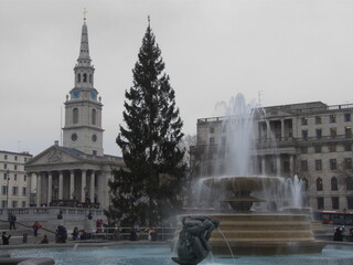 London, UK, Trafalgar square at Christmas - obrazy, fototapety, plakaty