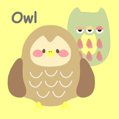 アルファベットカードOwl