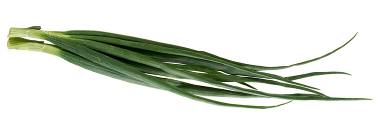 green onions isolated on a white background.