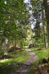 Obraz premium Wanderweg zwischen Felsen im Fichtelgebirge