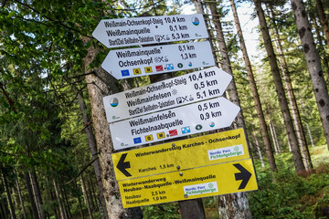 Felsen im Fichtelgebirge Wald Natur Wandern
