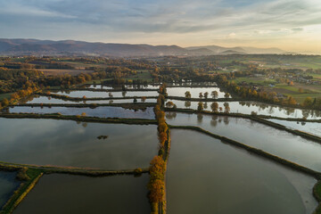 Fish breeding ponds, fish pond in Bielsko Biala, Beskid Mountains Poland Aerial drone