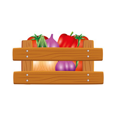Fototapeta premium vegetables inside box design, organic food healthy fresh natural and market theme Vector illustration