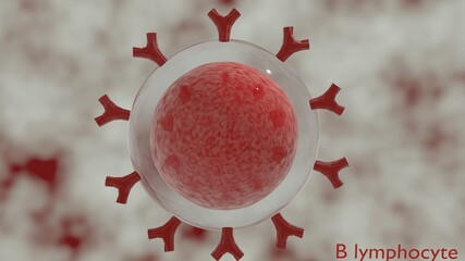 B cell in 3d illustration