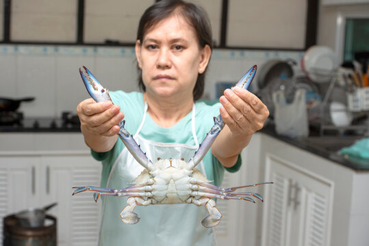  Woman Holding Fresh Blue Crabs For Cooking.