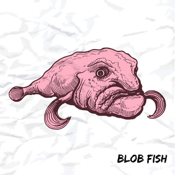 Blob fish hi-res stock photography and images - Alamy