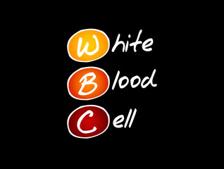 WBC - White Blood Cell acronym, medical concept background