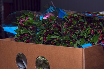 A man worker is packing flowers in cardboard boxes  and preparing them for the market