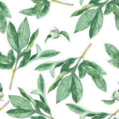 Pattern of green watercolor peony leaves and buds.