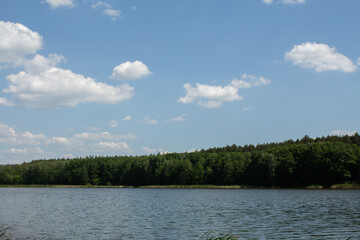 big lake in the forest with clear sky